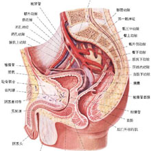 威海曙光男科醫院 威海曙光男科醫院