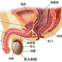 威海曙光男科醫院 威海曙光男科醫院