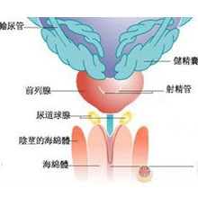 威海曙光男科醫院 威海曙光男科醫院